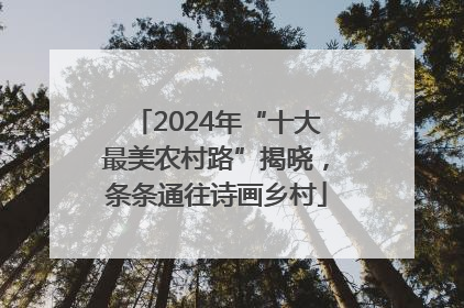 2024年“十大最美农村路”揭晓，条条通往诗画乡村