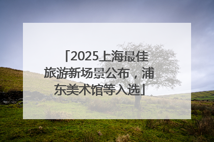 2025上海最佳旅游新场景公布，浦东美术馆等入选