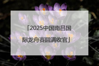 2025中国南昌国际龙舟赛圆满收官