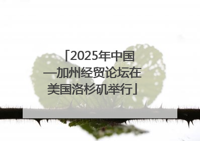 2025年中国—加州经贸论坛在美国洛杉矶举行