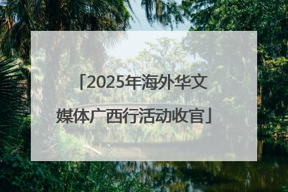 2025年海外华文媒体广西行活动收官