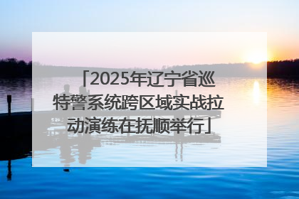 2025年辽宁省巡特警系统跨区域实战拉动演练在抚顺举行