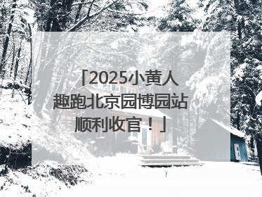 2025小黄人趣跑北京园博园站顺利收官！