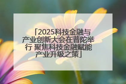 2025科技金融与产业创新大会在普陀举行 聚焦科技金融赋能产业升级之策