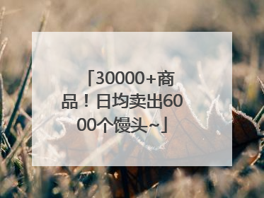 30000+商品！日均卖出6000个馒头~