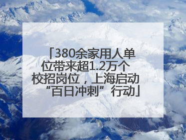 380余家用人单位带来超1.2万个校招岗位，上海启动“百日冲刺”行动