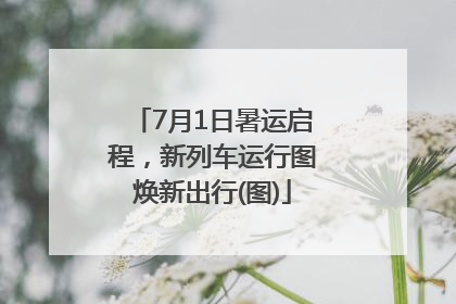 7月1日暑运启程，新列车运行图焕新出行(图)