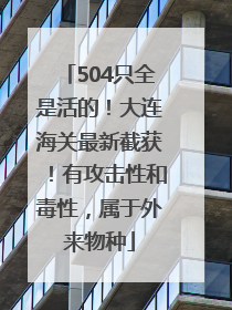 504只全是活的！大连海关最新截获！有攻击性和毒性，属于外来物种