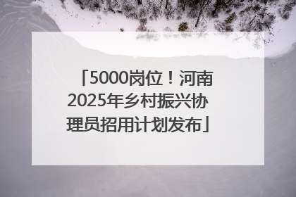 5000岗位！河南2025年乡村振兴协理员招用计划发布
