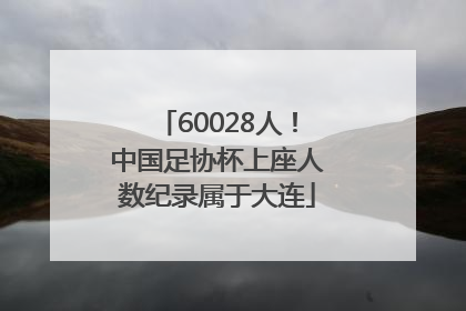 60028人！中国足协杯上座人数纪录属于大连