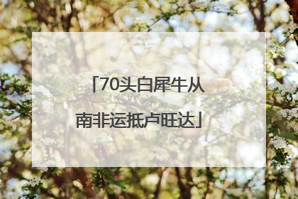 70头白犀牛从南非运抵卢旺达