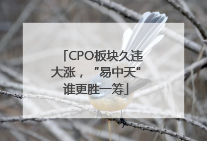 CPO板块久违大涨，“易中天”谁更胜一筹