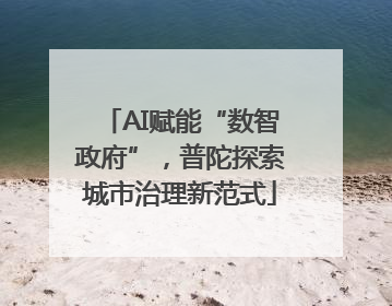 AI赋能“数智政府”，普陀探索城市治理新范式