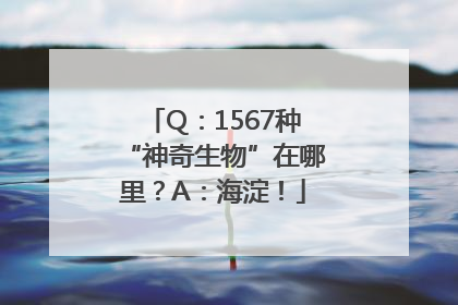 Q：1567种“神奇生物”在哪里？A：海淀！