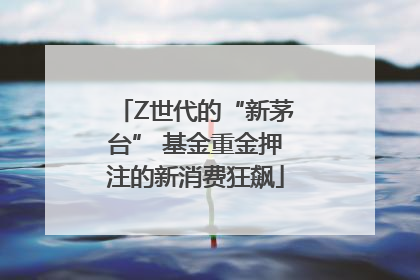 Z世代的“新茅台” 基金重金押注的新消费狂飙